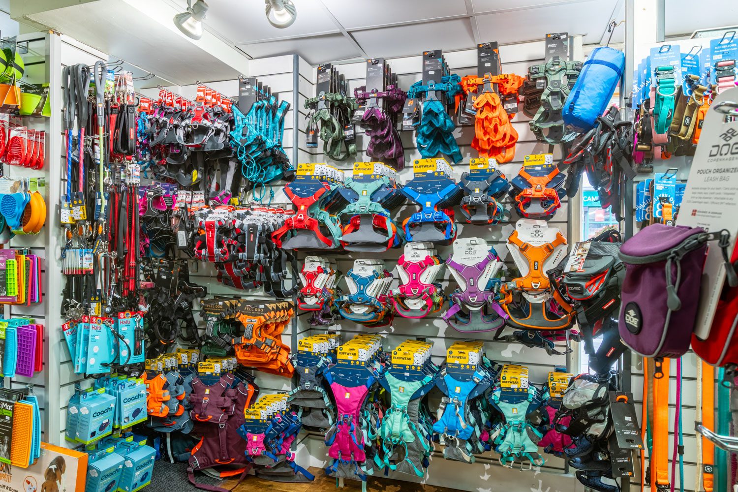 Podgy Paws Pet Shop