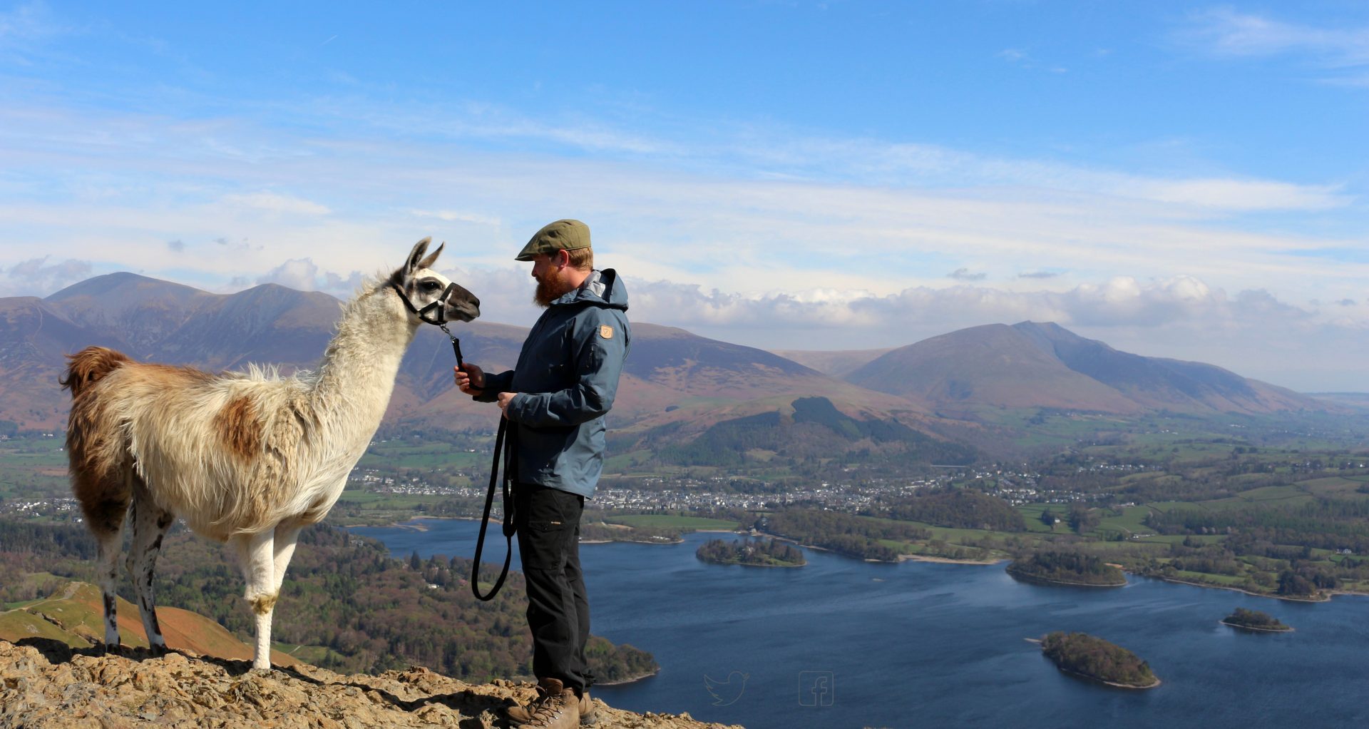Alpacaly Ever After CIC